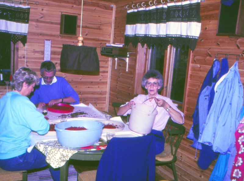 Family Life 44