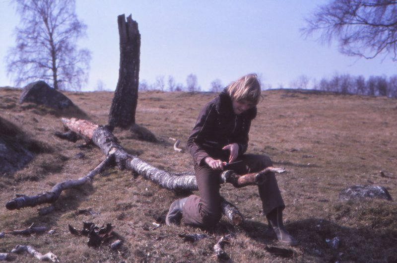 The Golden Years 26