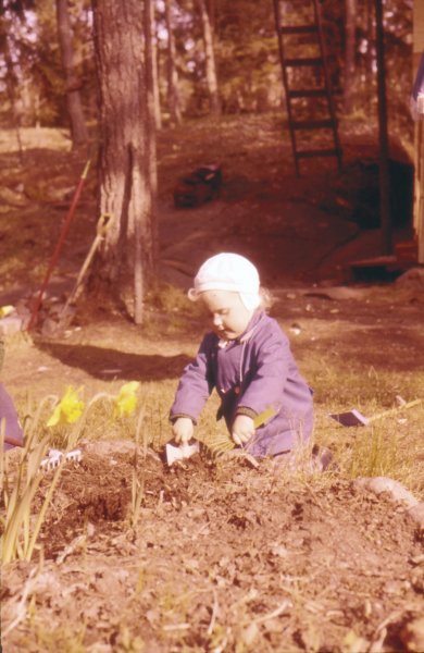 The Golden Years 17