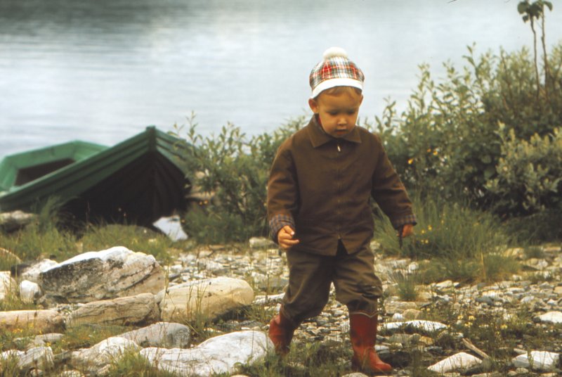 The Golden Years 12