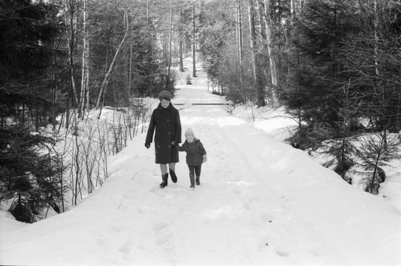 The Golden Years 55