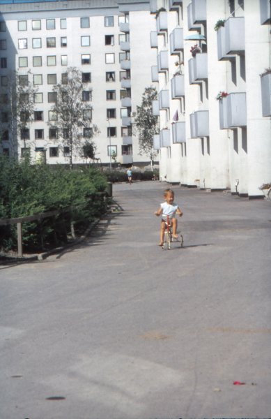 The Golden Years 9