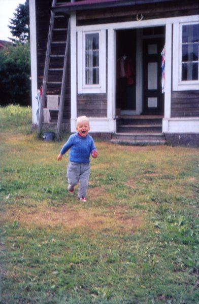 The Golden Years 14