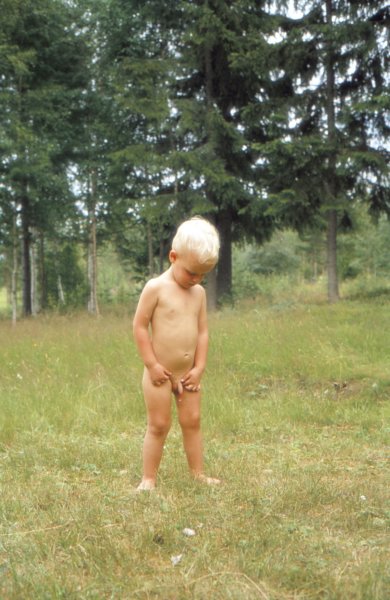 The Golden Years 19