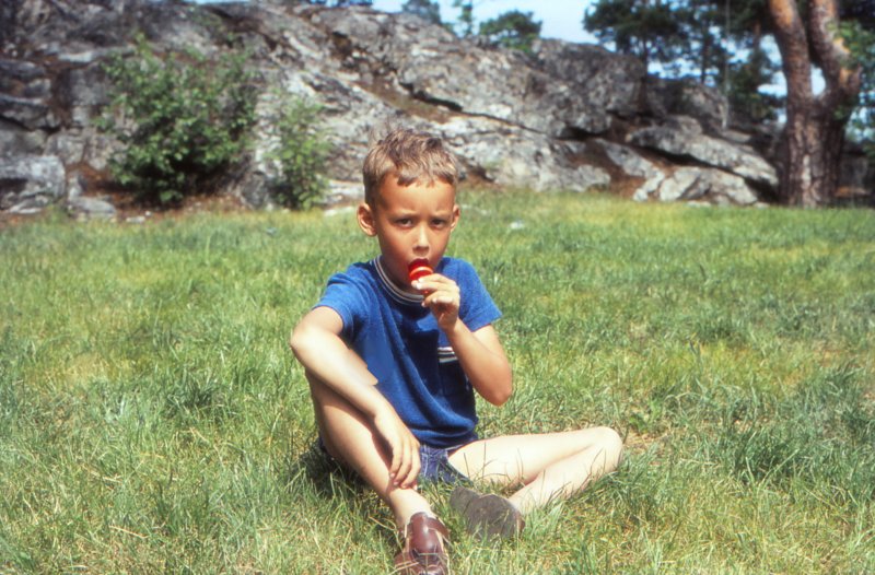 The Golden Years 26