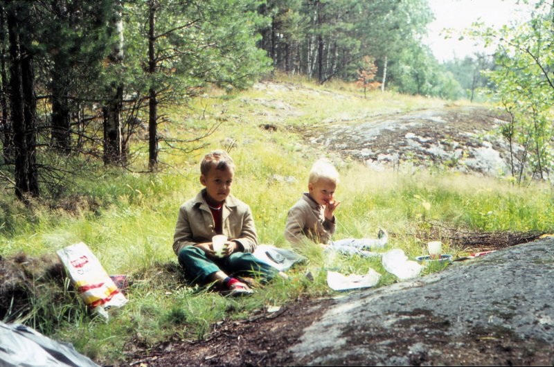 The Golden Years 36