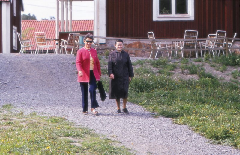 The Golden Years 4