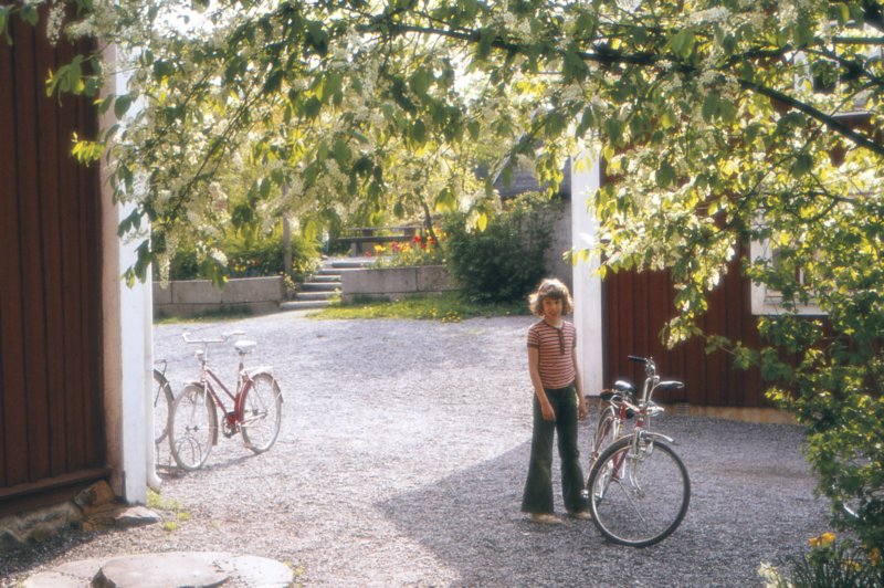 The Golden Years 16