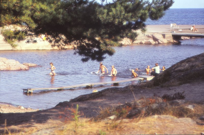 The Golden Years 61