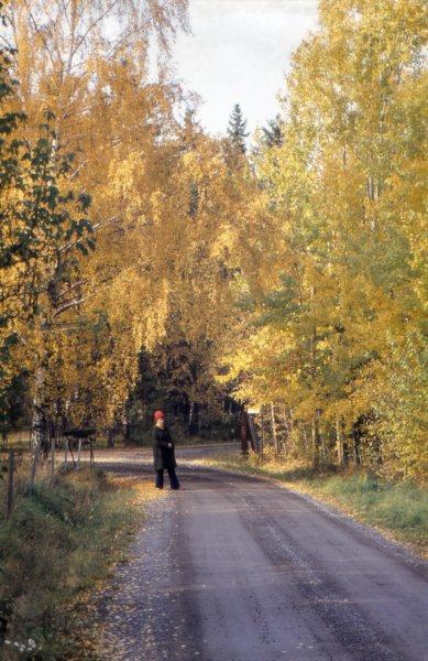The Golden Years 80