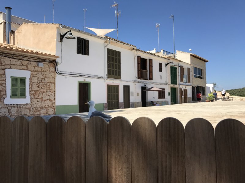 Mallorca 11