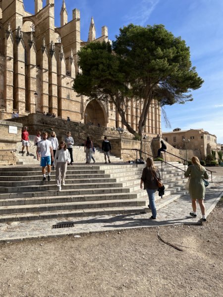 Mallorca 145