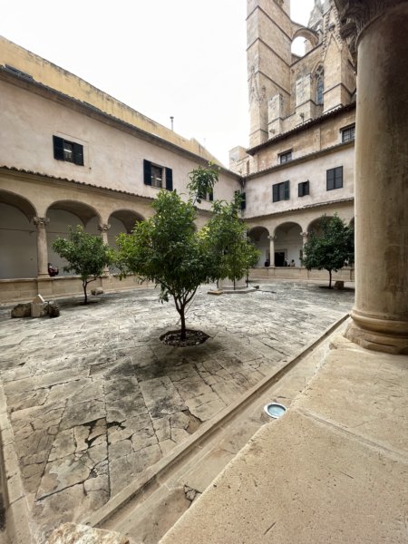 Mallorca 152