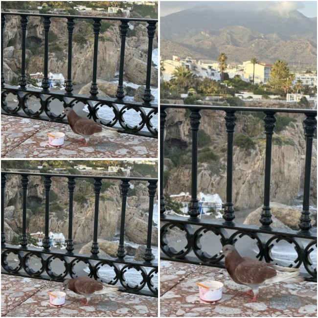 I Nerja 44