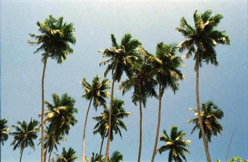 Sri Lanka·Indien 100