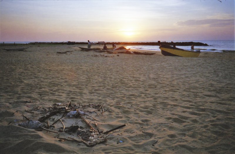Sri Lanka·Indien 48
