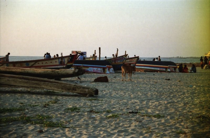 Sri Lanka·Indien 50