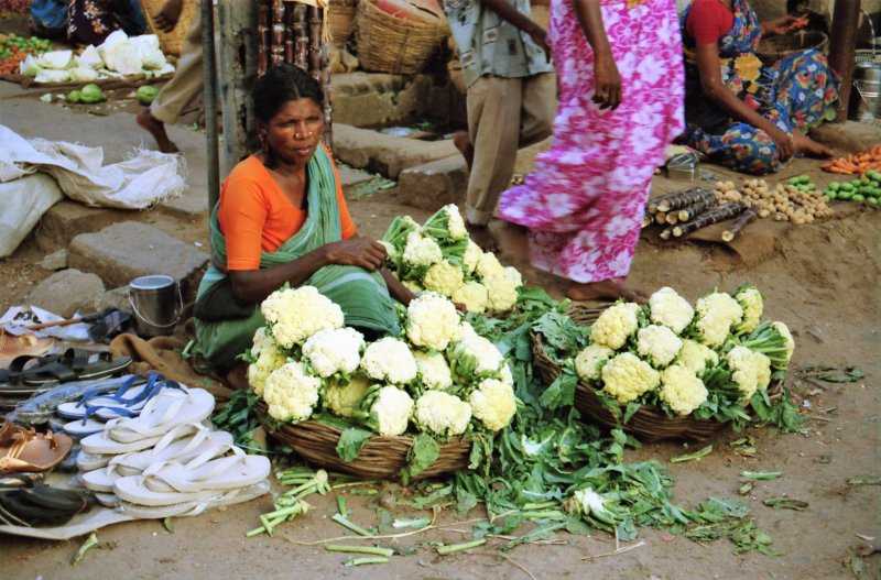 Sri Lanka·Indien 66