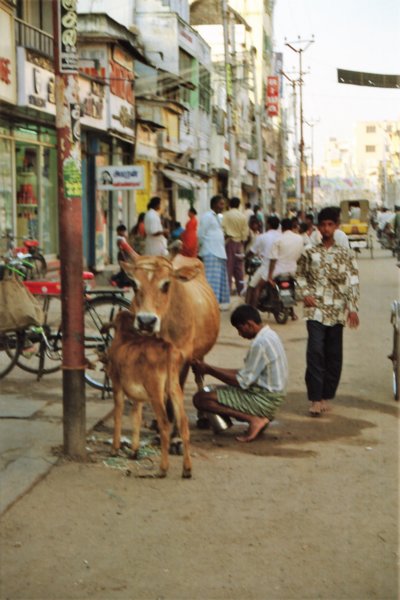 Sri Lanka·Indien 67