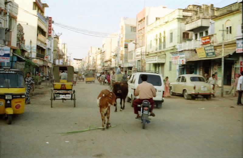 Sri Lanka·Indien 68