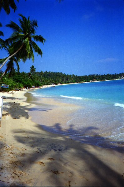 Sri Lanka·Indien 79