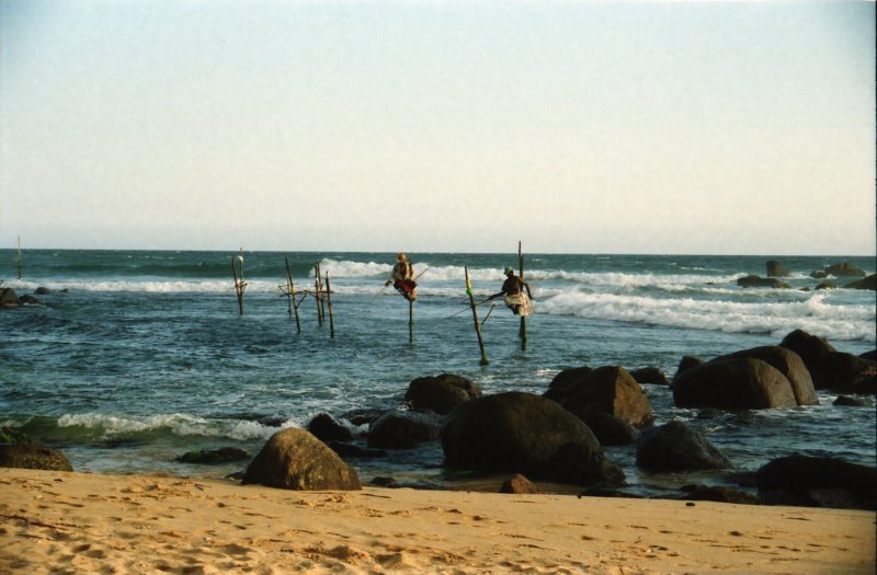 Sri Lanka·Indien 80