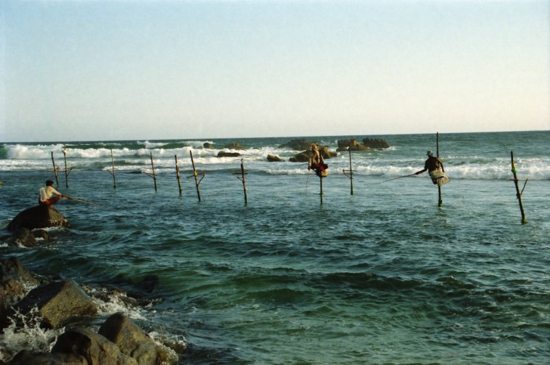 Sri Lanka·Indien 81
