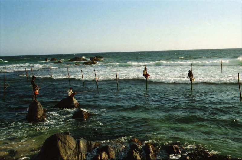 Sri Lanka·Indien 82