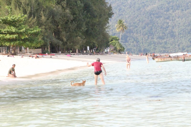 Thailand 228