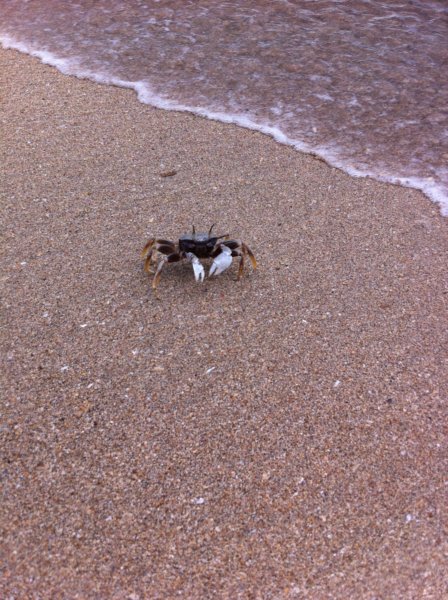 Thailand 243